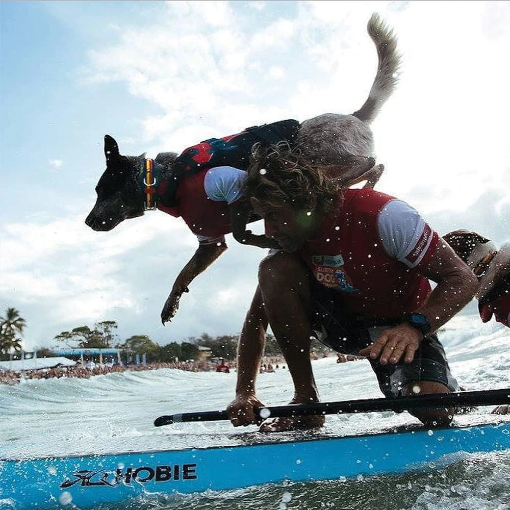 Chaleco salvavidas para perros DFD, chaleco de natación para perros - Extra pequeño, rojo | Chaleco de natación ajustable para perros, correas de neopreno acolchadas, asa de agarre, 50% más material de flotación, ribete reflectante, se mantiene erguido
