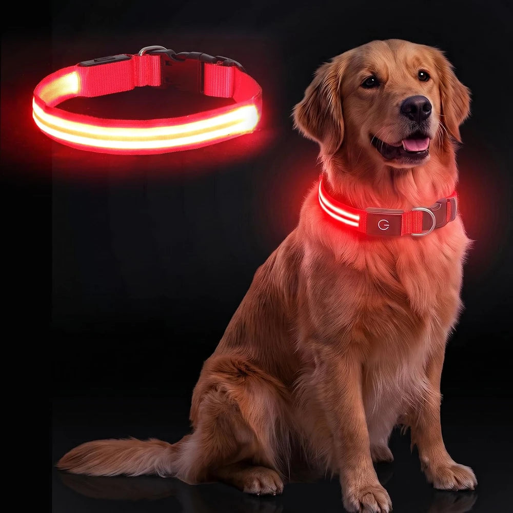 Collar LED ajustable para perro, luz parpadeante intermitente, brillante, seguridad para mascotas, resistente al agua