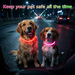 Collar LED ajustable para perro, luz parpadeante intermitente, brillante, seguridad para mascotas, resistente al agua