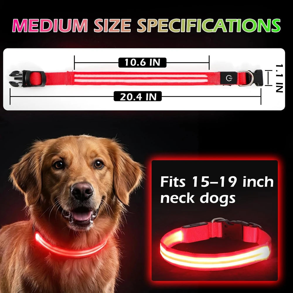 Collar LED ajustable para perro, luz parpadeante intermitente, brillante, seguridad para mascotas, resistente al agua