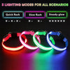 Collar LED ajustable para perro, luz parpadeante intermitente, brillante, seguridad para mascotas, resistente al agua