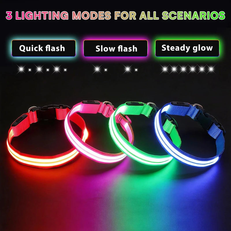 Collar LED ajustable para perro, luz parpadeante intermitente, brillante, seguridad para mascotas, resistente al agua
