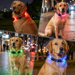 Collar LED ajustable para perro, luz parpadeante intermitente, brillante, seguridad para mascotas, resistente al agua