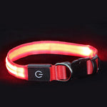 Collar LED ajustable para perro, luz parpadeante intermitente, brillante, seguridad para mascotas, resistente al agua