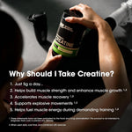 Optimum Nutrition Micronized Creatine Monohydrate, Unflavored, 300g