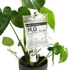 Sistema de autorriego para plantas, bolsa de riego por goteo con flujo ajustable de 350 ml, sistema de riego por goteo automático de PVC para plantas de interior en maceta