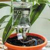 Sistema de autorriego para plantas, bolsa de riego por goteo con flujo ajustable de 350 ml, sistema de riego por goteo automático de PVC para plantas de interior en maceta