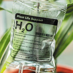 Sistema de autorriego para plantas, bolsa de riego por goteo con flujo ajustable de 350 ml, sistema de riego por goteo automático de PVC para plantas de interior en maceta