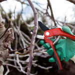 Heavy-Duty Stainless Steel Anvil Pruning Shears