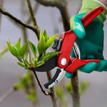 Heavy-Duty Stainless Steel Anvil Pruning Shears