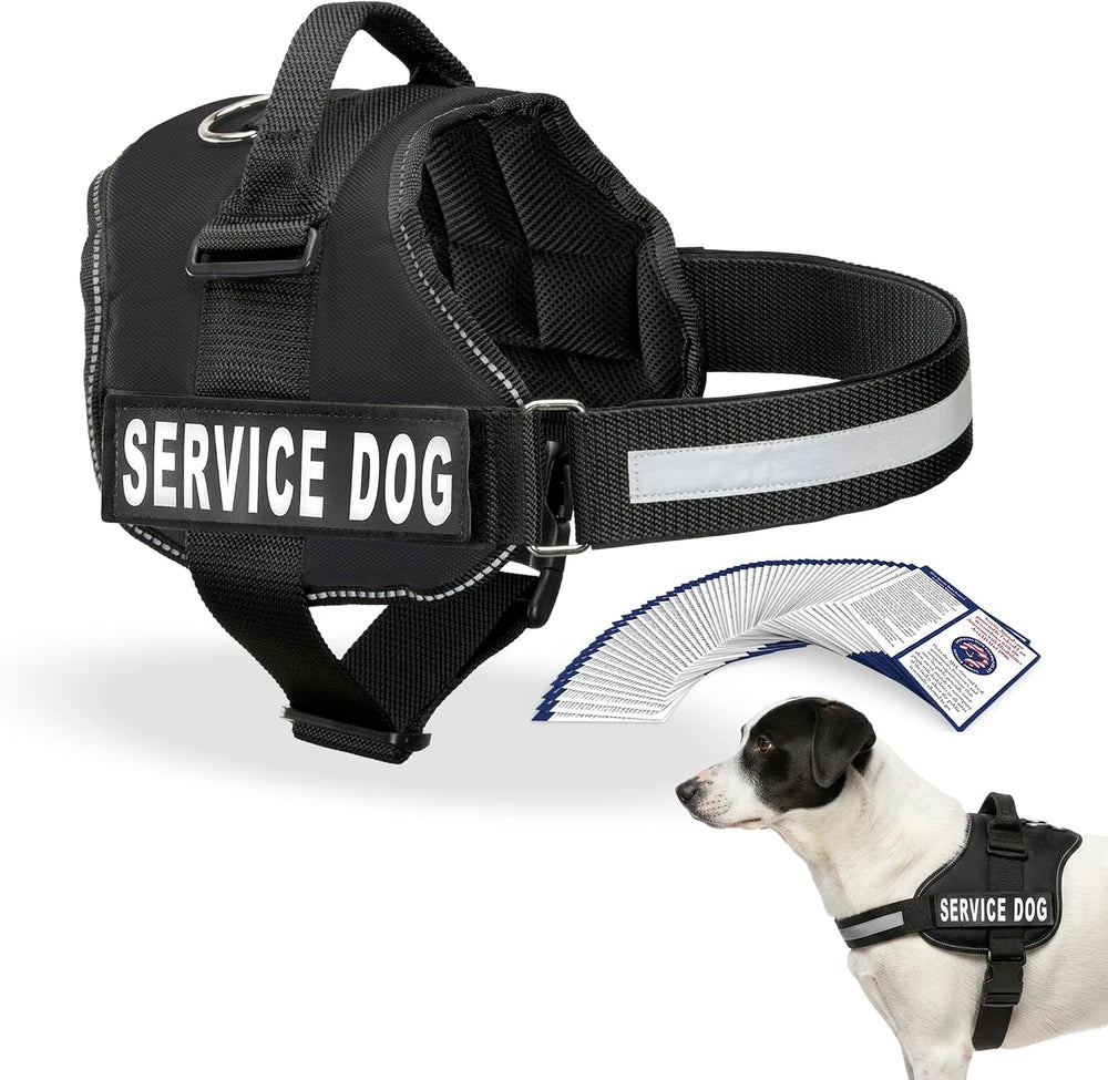 Reflective Service Dog Vest & Leash Set