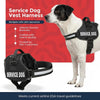 Reflective Service Dog Vest & Leash Set