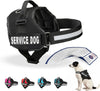 Reflective Service Dog Vest & Leash Set