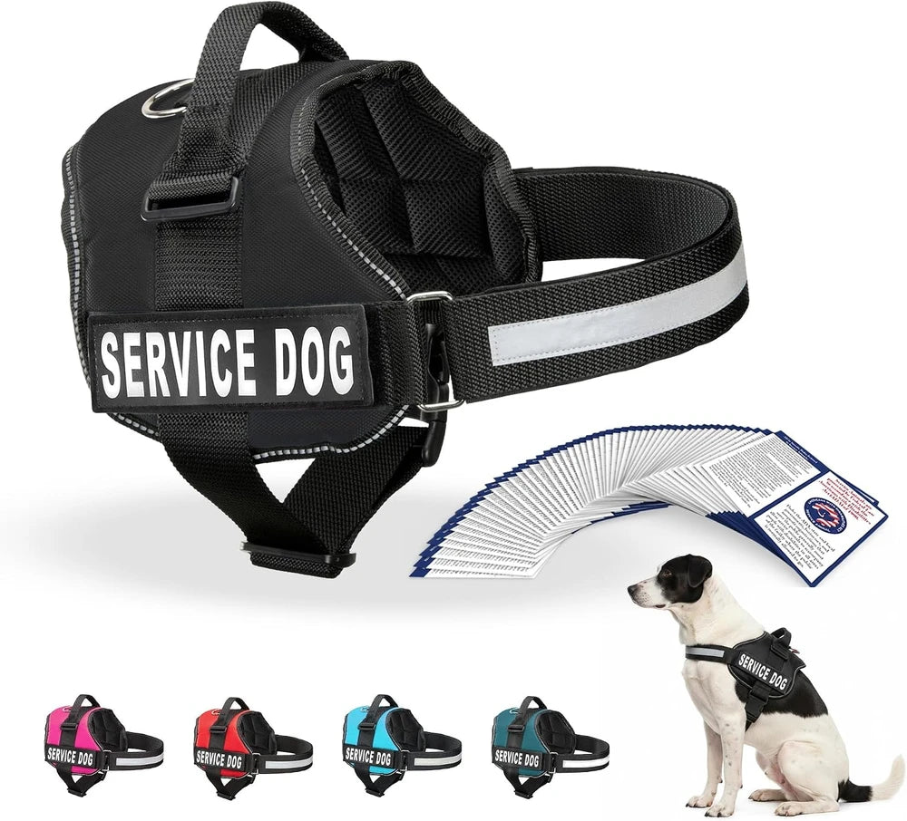 Reflective Service Dog Vest & Leash Set