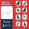 Reflective Service Dog Vest & Leash Set