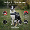 Reflective Service Dog Vest & Leash Set