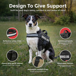 Reflective Service Dog Vest & Leash Set